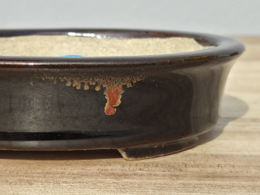 Preview: Tokoname Terahata Satomi 140mm × 114mm × 37mm